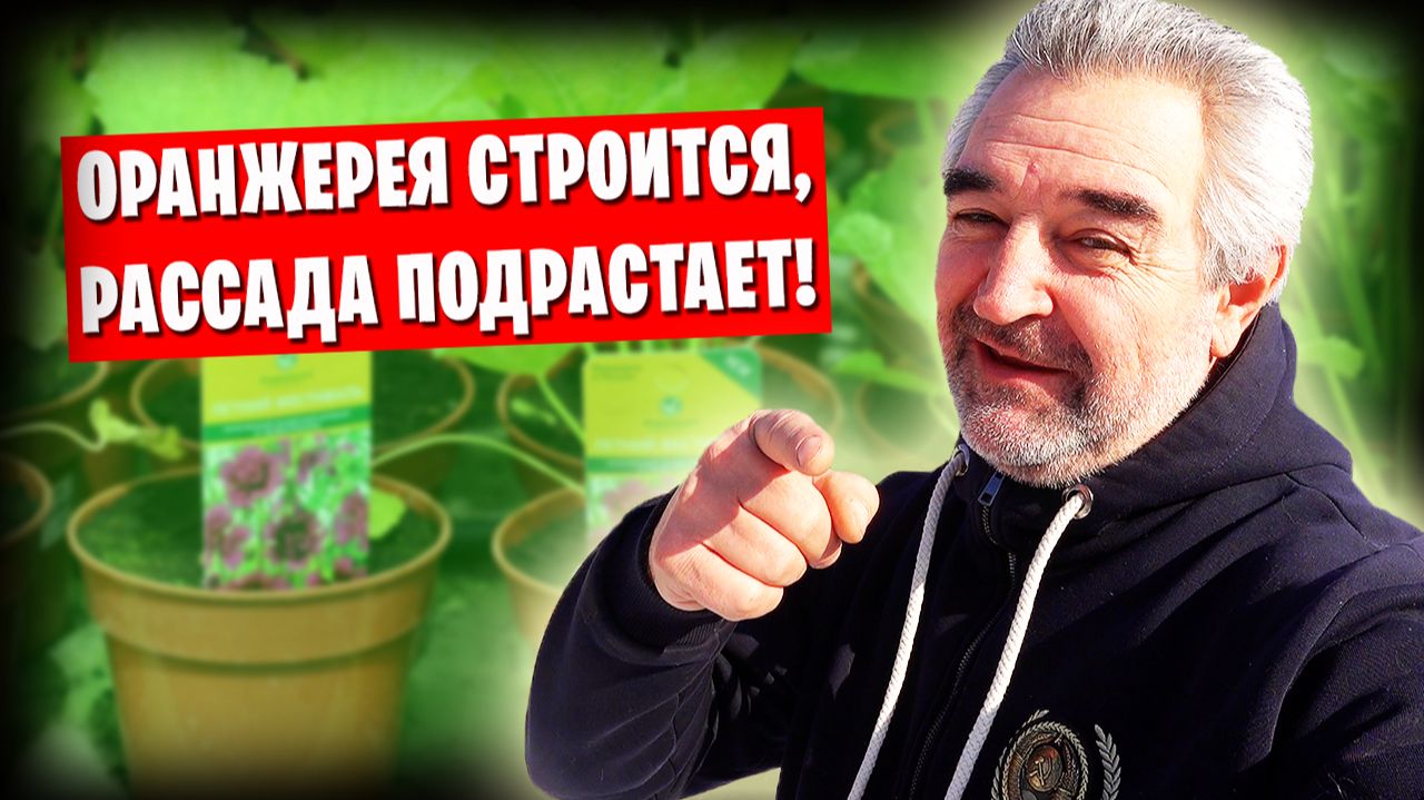 Начинаю посадку растюх / Новости из оранжереи в гараже 😊 смотреть онлайн