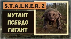 S.T.A.L.K.E.R.2:Heart of Chornobyl Где найти мутанта «Псевдо гигант» слева через реку от химзавода