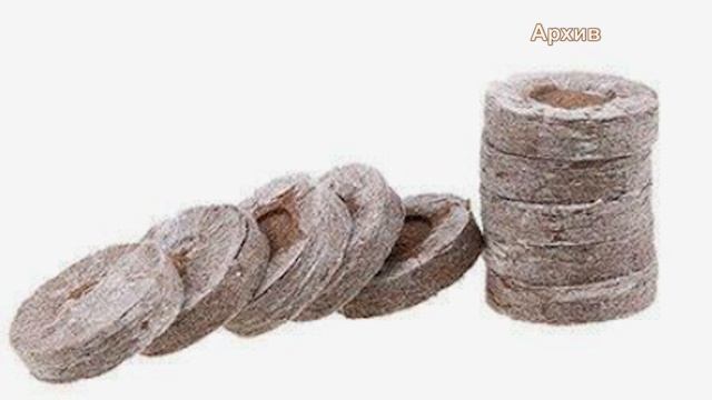 2026_01_29_Во саду и в огороде смотреть онлайн