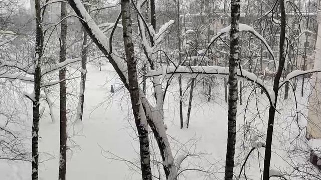 Эй, гражданина! Ты туда не ходи, ты сюда ходи, а то снег в башка попадёт, снега и правда навалом смотреть онлайн