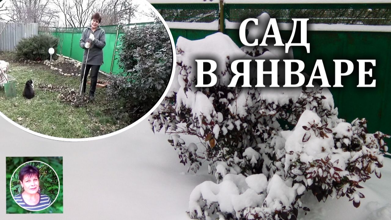 Работы в саду в январе. Что нужно сделать обязательно смотреть онлайн