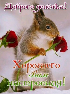 Срочно сюда