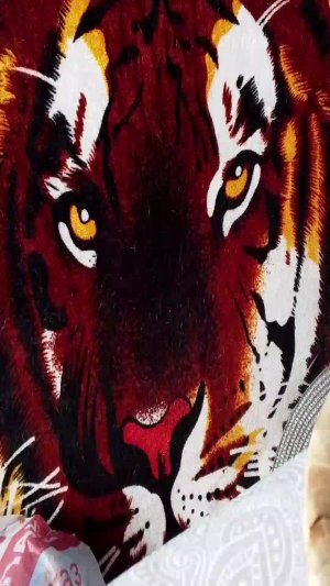 давайте знакомиться 💞