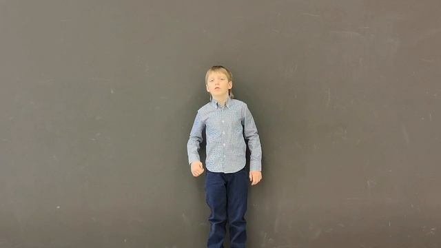 Стихотворение С. Михалкова «Несбывшиеся мечты»