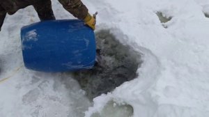 Запуск 58 кг. форели 29 января "Водопад"