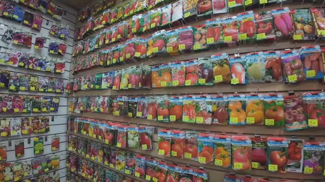 Январь 2026 года. В город по делам. В Фазенду за тимьяном. По мотивам посещения ПФР. Девяностые... смотреть онлайн