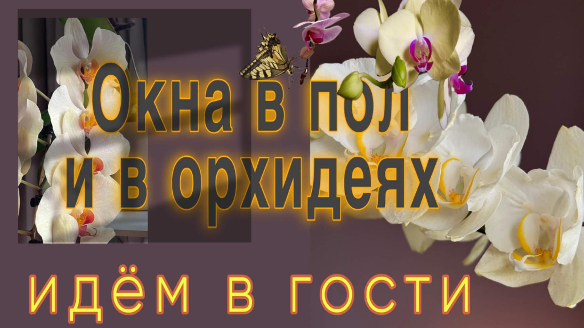 Она говорила : « У меня ничего НЕ ЦВЕТЕТ в этом году»! Ну-ну 🫣 смотреть онлайн
