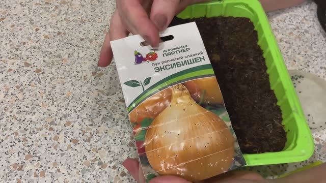 Лук ЭКСИБИШЕН посев семян 28.01.26 смотреть онлайн