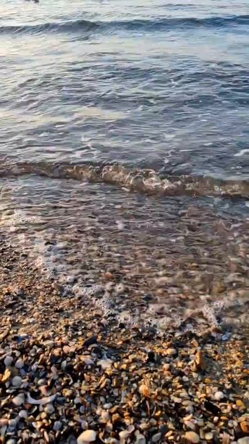 Хочу на море 2. naomix.ru