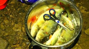 Рыболовные путешествия 2023