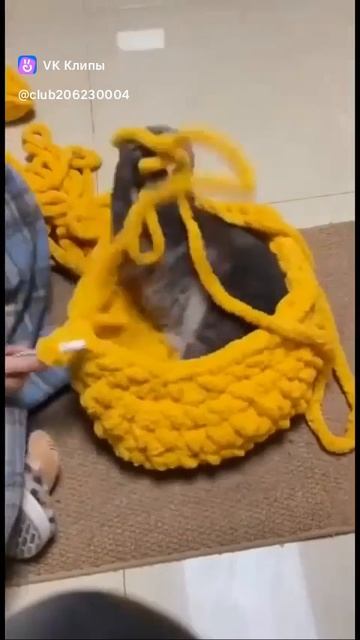 How to make a house for a cat 🐱 смотреть онлайн