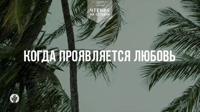 КОГДА ПРОЯВЛЯЕТСЯ ЛЮБОВЬ | АУДИО | 8 февраля 2026 КОГДА ПРОЯВЛЯЕТСЯ ЛЮБОВЬ | АУДИО | 8 февраля 2026