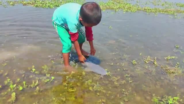 УМНЫЙ МАЛЬЧИК ЛОВИТ РЫБУ РУКАМИ