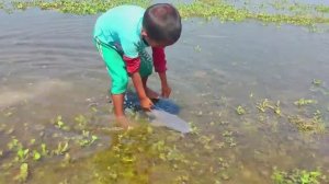 УМНЫЙ МАЛЬЧИК ЛОВИТ РЫБУ РУКАМИ