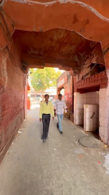 Индия не перестает удивлять  travel india индия джайпур треш