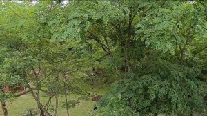 Вид со стены замка Баграта. Сухум, 31.07.2025 г.