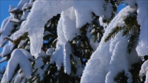 29 января - День, когда можно все исправить. Проверьте сами.