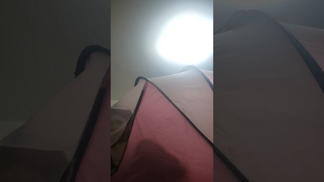 VID_20260129_161929.mp4 смотреть онлайн