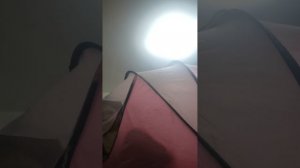 VID_20260129_161929.mp4