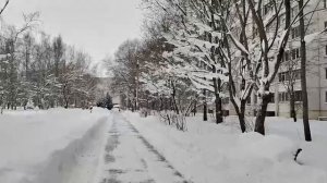 Покажу вам красоту которую увидел первый раз за долгое время хождения мимо неё, зима пошла на убыль