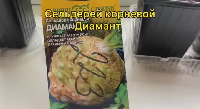 Сельдерей корневой Диамант посев 26.01.26 смотреть онлайн