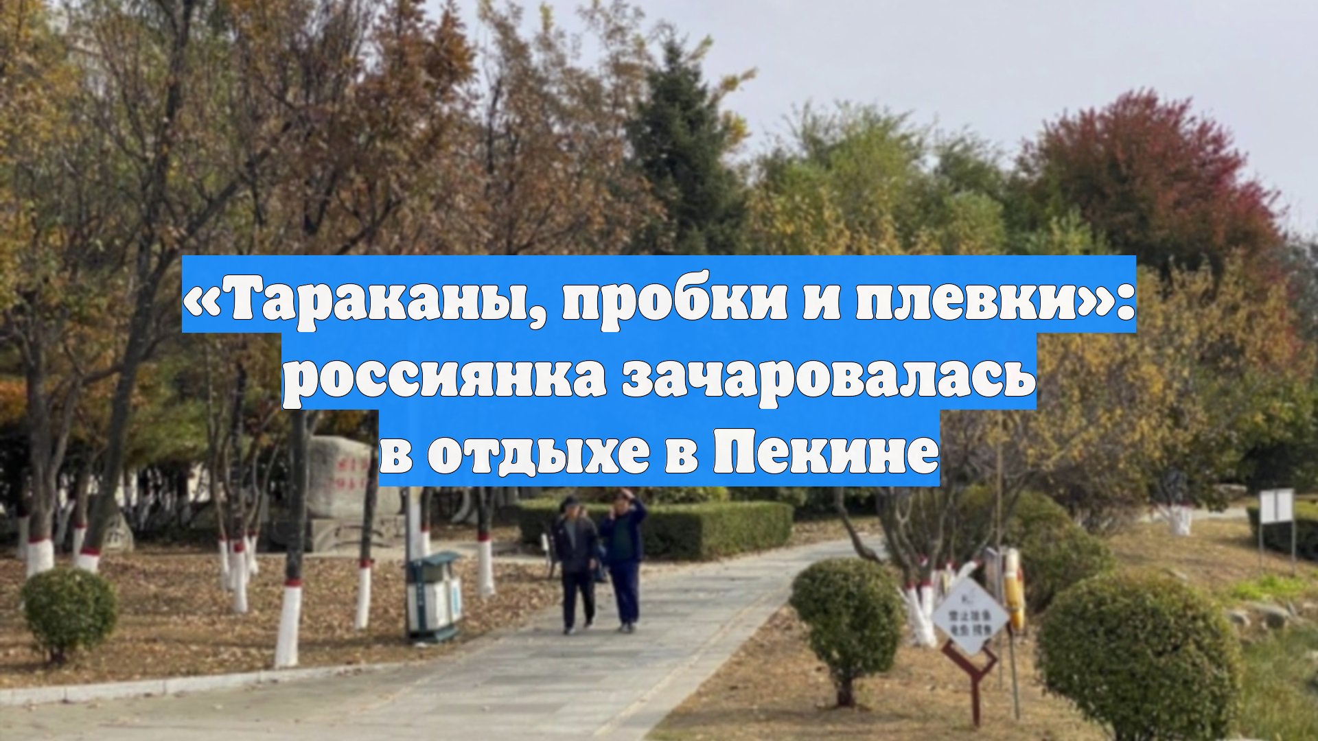 «Тараканы, пробки и плевки»: россиянка зачаровалась в отдыхе в Пекине смотреть онлайн