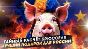 Свинья в парике: почему ЕС готов потратить 800 мрлд, чтобы купить Нэньку, и как это нам на руку?