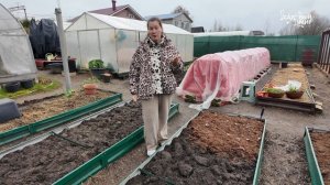 Морковь мечты: как вырастить крупную, сочную, ровную. Простые правила выращивания моркови.