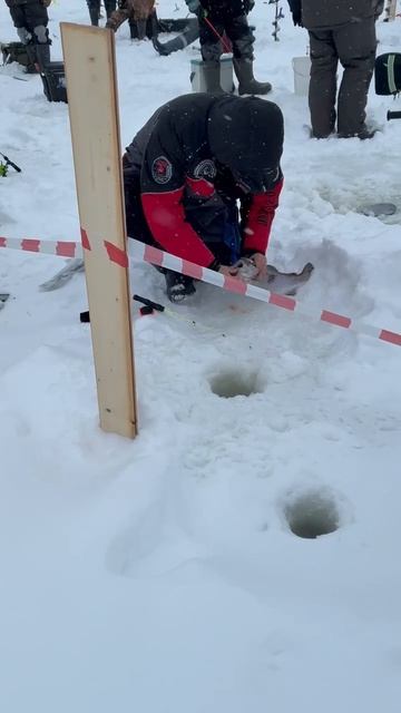 29/01/2026 смотреть онлайн