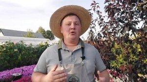 СКОЛЬКО СТОЯТ ТРУДЫ И КАК ИХ ОЦЕНИТЬ | ТЕМА №6 БИЗНЕС НА ПЕТУНИЯХ ПРОСТО | БОРИС БОРИСОВ