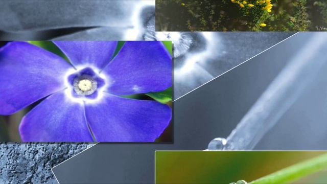 Nilotpala - Великая сеча смотреть онлайн