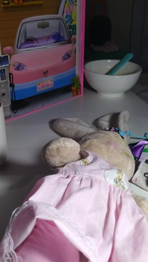 Пришла из Садика