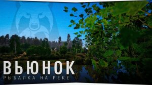 Играем в Russian Fishing 4 ловим синца,подуста,леща и другую рыбку. (Интересная точка)