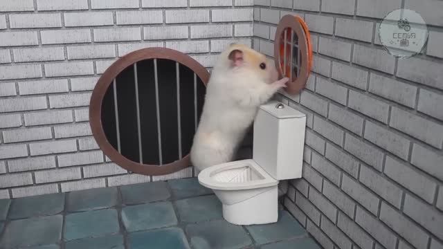 ПОБЕГ ХОМЯКА С ТЮРЬМЫ ЛАБИРИНТЫ МАРИО смотреть онлайн