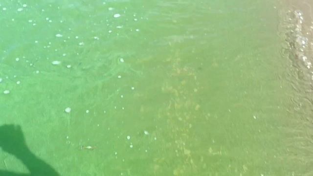 НА БЕРЕГУ БОЛЬШОЙ РЕКИ. ЦВЕТЁТ РЕКА., НО КРАСИВО..... смотреть онлайн