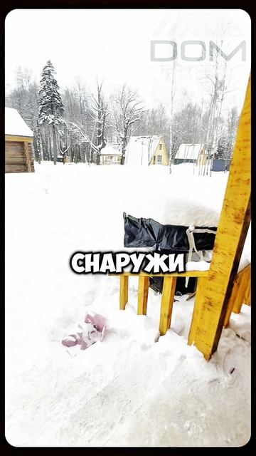 Сколько стоит баня из этого дерева смотреть онлайн