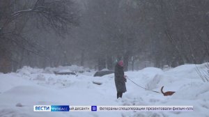 Сперва потеплеет, потом подморозит: синоптики дали прогноз по Кузбассу на первую декаду февраля