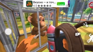 игра про зоопарк