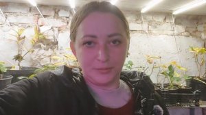 С новым годом!О личном и о хранении и пробуждении крупнолистной гортензии!2 января 2026 года.