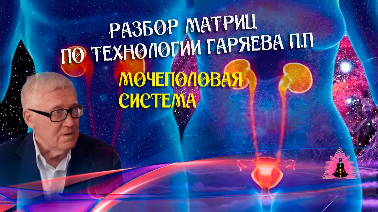 Расшифровка матрицы мочеполовой системы смотреть онлайн