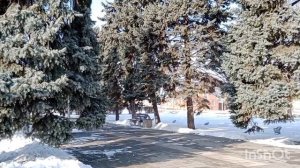 В Ейске потеплело +4☀️ Репетиция...Вкусный ужин...