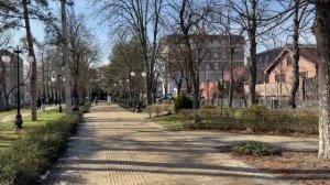 В Краснодаре снова тепло! Прогулка по методу Лёхи, и в ответ на его видео о погоде! 29.01.2026.