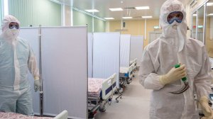 Ученый исключил угрозу вируса Нипах для России