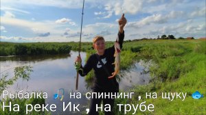 Летняя Рыбалка 🎣 на спиннинг , на щуку 🐟, на реке Ик , на трубе . Вот это улов!
