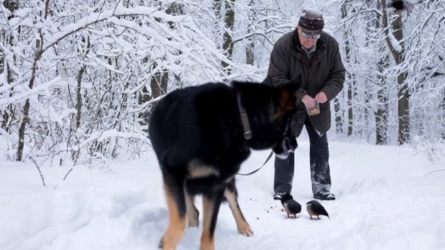 Зимнее утро смотреть онлайн