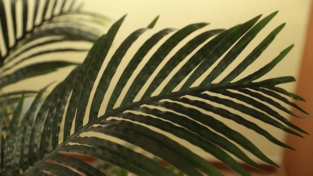 В Рязани прошел концерт «С песней в сердце». 2026 г. смотреть онлайн