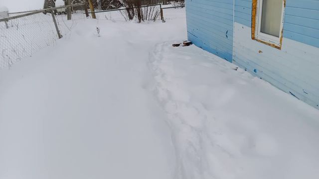 Вылазка в снег. смотреть онлайн