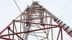 "Радиостанция Судного дня" передала слова "стояк" и "дернолорд"