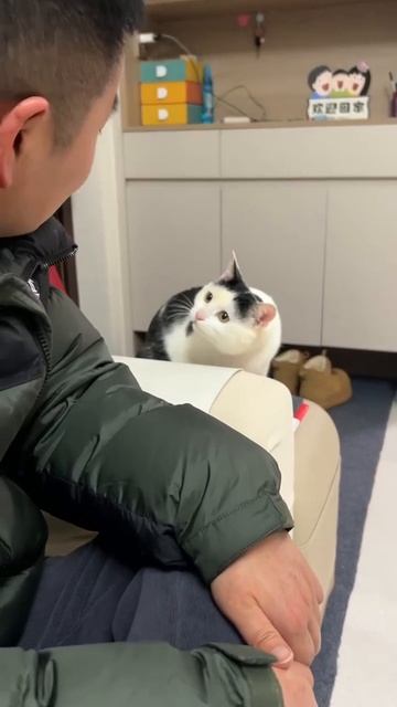 Ты тоже не любишь когда тебя передразнивать? смотреть онлайн