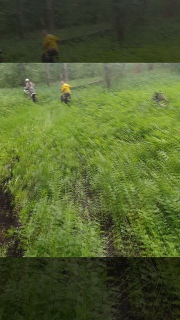 Восход 3м-01 в лесу №255в смотреть онлайн